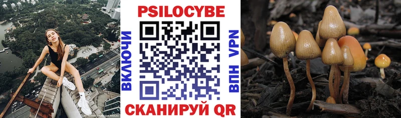 продажа наркотиков  Инза  Псилоцибиновые грибы прущие грибы 